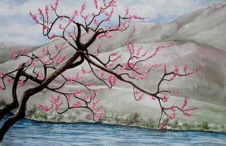 Apple Blossoms at Lake Chelan