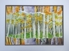 Aspen Forest Collage