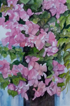 Bougainvillea #3