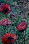 Oriental Poppies