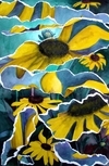 Susans