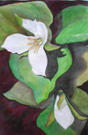 Trillium #2