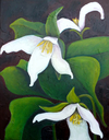 Trillium