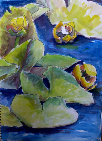 Water Lilies #2